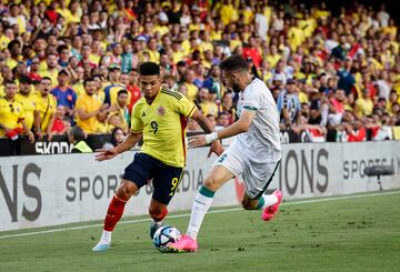 La Selección Colombia enfrentó a la Selección Irak en el estadio Mestalla, de Valencia, España. Este fue el primer amistoso de la Fecha FIFA.