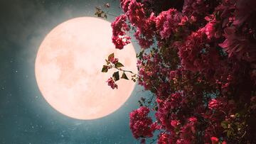 Luna llena o Luna de Flores en mayo 2023: Cuándo, hora y dónde ver desde México