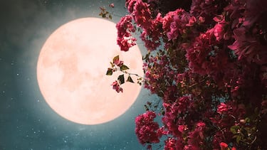 Luna llena de mayo 2023: Origen, significado y por qué se llama Luna de Flores