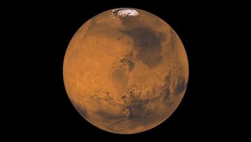 European researchers have identified one organism that could withstand the extreme conditions of the Red Planet.