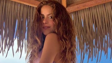 Shakira se estrena en el diseño compartiendo su bikini más sensual
