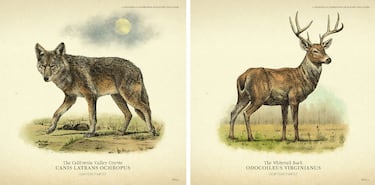 Red Dead Redemption 2: Flora y fauna