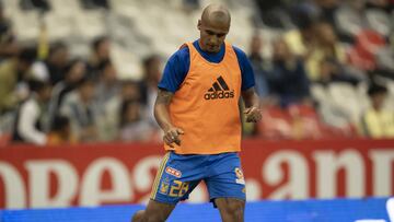 Luis Rodríguez, Tigres