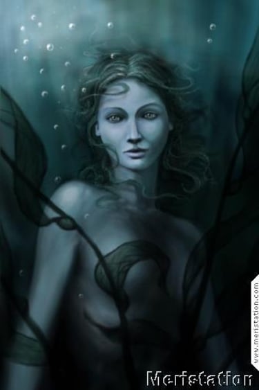 Age of Wonders II Principales Características (PC)