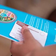 Tarjeta Alimentaria: cómo consultar el saldo en Mastercard o Visa