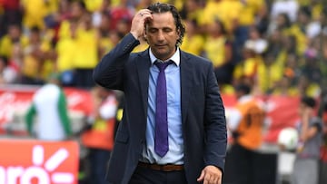 Chile coach Pizzi quashes talk of taking over at Barcelona