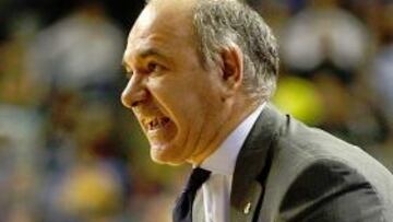 <strong>LELE MOLIN.</strong>