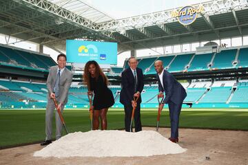 Las hermanas estadounidenses son propietarias parciales de los Miami Dolphins,un equipo profesional estadounidense de fútbol americano de la ciudad de Miami, Florida. 