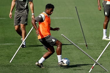 Endrick, cuatro meses después