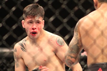 En las preliminares de la UFC Fight Night Chile, Pantoja se llevó la victoria dejando a un maltrecho Moreno. El mexicano se fue con la nariz y labios rotos.