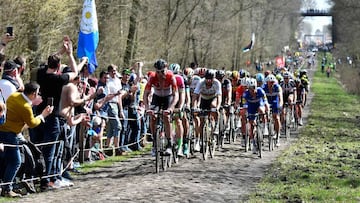 Imagen del pelot&oacute;n al paso por el Bosque de Arenberg durante la Par&iacute;s-Roubaix 2018.