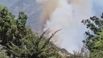 Peligroso incendio forestal asusta a los vecinos de Paine y sigue fuera de control: Senapred declara alerta amarilla