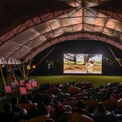 Cine gratis en la Cinemateca de Bogotá: programación, fechas y horarios