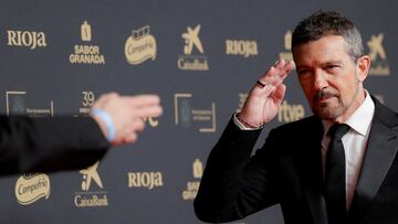 Antonio Banderas gestures as he poses on the red carpet at the Spanish Film Academy's Goya Awards ceremony in Granada, Spain February 8, 2025. REUTERS/Jon Nazca TPX IMAGES OF THE DAY