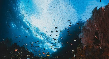 Los cinco mejores destinos para bucear en Semana Santa