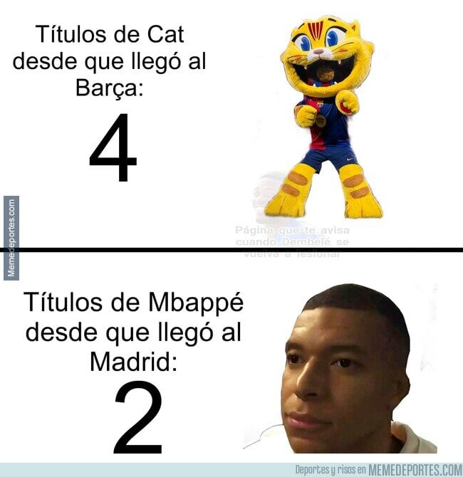 Galería 2