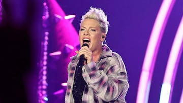 Pink es una de las artistas más conocidas en los Estados Unidos. Conoce a cuánto asciende su fortuna y cómo la ha conseguido.