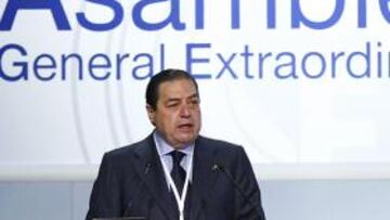 La Asamblea ratifica a Vicente Boluda y aprueba la modificación del voto por correo