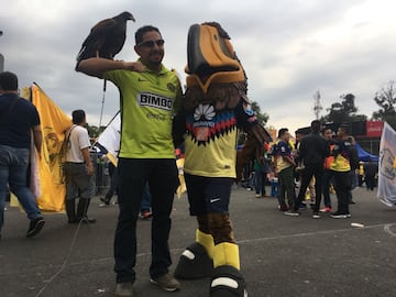 Las mejores imágenes del Pumas vs América en cuartos de final