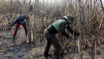 Mapa y cifras de casos de coronavirus por estados en Bolivia hoy, 21 de septiembre