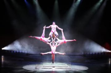 Mallakhamba es un deporte tradicional indio en el que el gimnasta realiza ejercicios, acrobacias, equilibrios... y todo sin bajarse de un poste de madera.
