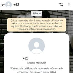 Robo de cuentas de WhatsApp en Colombia: Cuáles son los mensajes y qué hacer para evitar las estafas