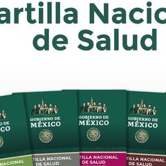 ¿Qué hacer si perdí mi Cartilla Nacional de Salud y cómo reimprimirla en internet?