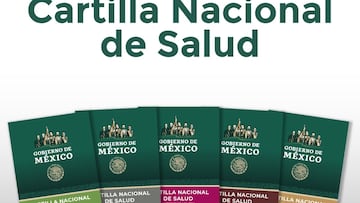 ¿Qué hacer si perdí mi Cartilla Nacional de Salud y cómo reimprimirla en internet?