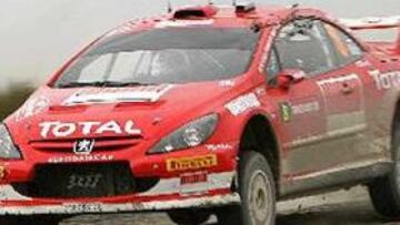 Markko Martin no participará en el rally de Japón