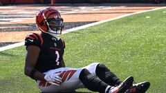 CINCINNATI, OHIO - OCTOBER 23: Ja'Marr Chase #1 of the Cincinnati Bengals reacts after a play against the Atlanta Falcons during the second quarter at Paul Brown Stadium on October 23, 2022 in Cincinnati, Ohio.   Dylan Buell/Getty Images/AFP