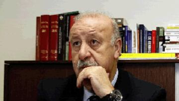 "Una final Madrid-Barça no perjudica a la Selección"