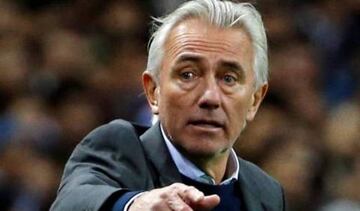 Bert Van Marwijk.