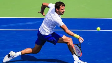 Grigor Dimitrov.