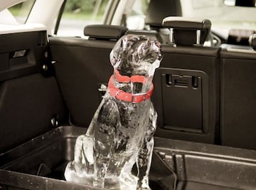 Un perro de cristal dentro de un automóvil