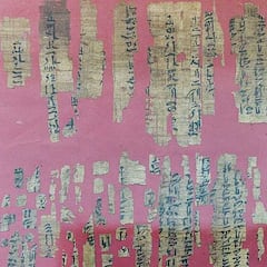 Histórico hallazgo en Mallorca