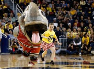 Un joven aficionado de Michigan corre asustado dejando atrás sus pantalones y zapatillas al ser perseguido por la mascota local en el partido entre los Holy Cross Crusaders y los Michigan Wolverines de la liga universitaria de baloncesto americana.