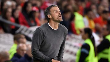 Luis Enrique, durante el partido de Espa?a ante Suiza.