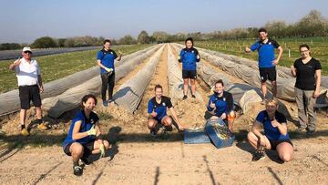 Las jugadoras del Sand recogiendo espárragos.