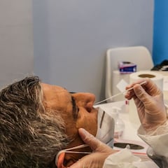 El momento en que la cepa británica será dominante