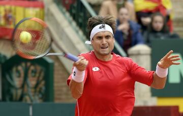 David Ferrer.