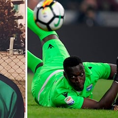 El león que sufrió ‘bullying’ y pudo jugar con Italia