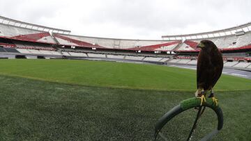 En el D&iacute;a del Animal, River present&oacute; a sus gavilanes