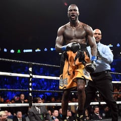 Wilder marca su camino: Joshua y después el peso crucero