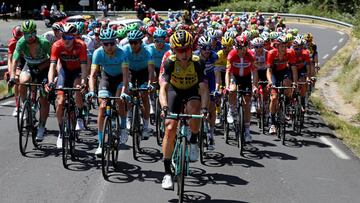 Tony Martin lidera el pelot&oacute;n durante una etapa del Tour de Francia 2019.