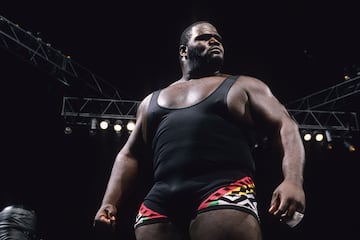 Mark Henry ha tenido algunas apariciones en el cine, a menudo interpretándose a sí mismo o en papeles menores. Algunas películas en las que ha participado son: 'A Haunted House 2', 'Incarnate', 'MacGruber' y 'Los Picapiedra & WWE: Stone Age Smackdown!'.