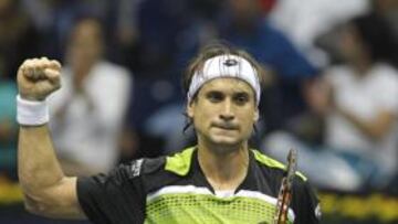 David Ferrer.