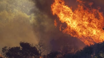 Countries prepare for the 2021 UN Climate Change Conference in Glasgow where they will have to communicate thier nationally determined contributions.