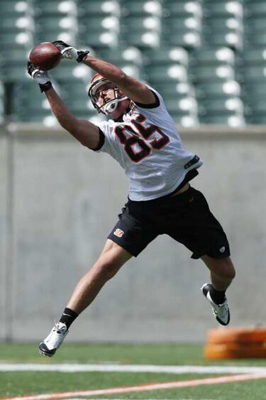 ASÍ LOS VEMOS: Cincinnati Bengals (AFC Norte)