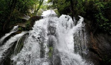 En la localidad de Navaconcejo, donde da comienzo y finaliza la ruta, la presencia constante del agua, así como de robles, castaños y cerezos, es un rasgo característico de la zona. Disfrutarás caminando por un sendero para descubrir una de las bellas gargantas jerteñas, la garganta de Nogaleas o Nogaledas. Una ruta de baja dificultad, y de apenas 4 km, que permitirá al senderista descubrir una de las joyas naturales más espectaculares del Valle del Jerte.