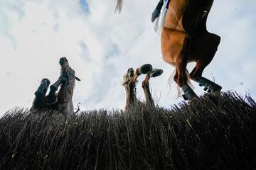 Las carreras de obstáculos en el turf son de por sí espectaculares. Más aún si se ven desde un punto de vista diferente al habitual: el de una cámara situada a ras de suelo. En la imagen, varios caballos saltan una valla durante The PIB Insurance Brokers Handicap Chase en el hipódromo de Wincanton, en Somerset (Inglaterra).